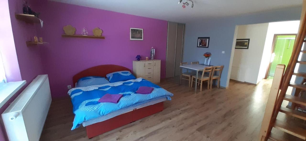 Privat Bene Apartment Vysne Ruzbachy Phòng bức ảnh