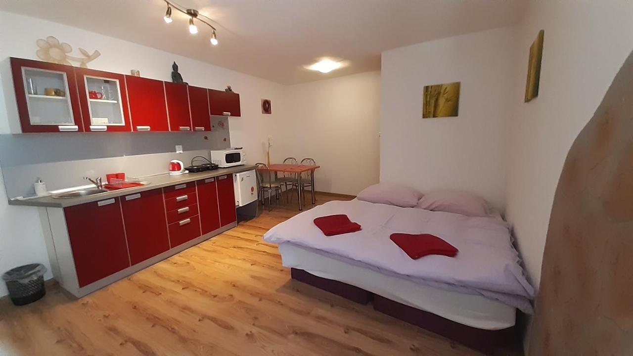 Privat Bene Apartment Vysne Ruzbachy Phòng bức ảnh