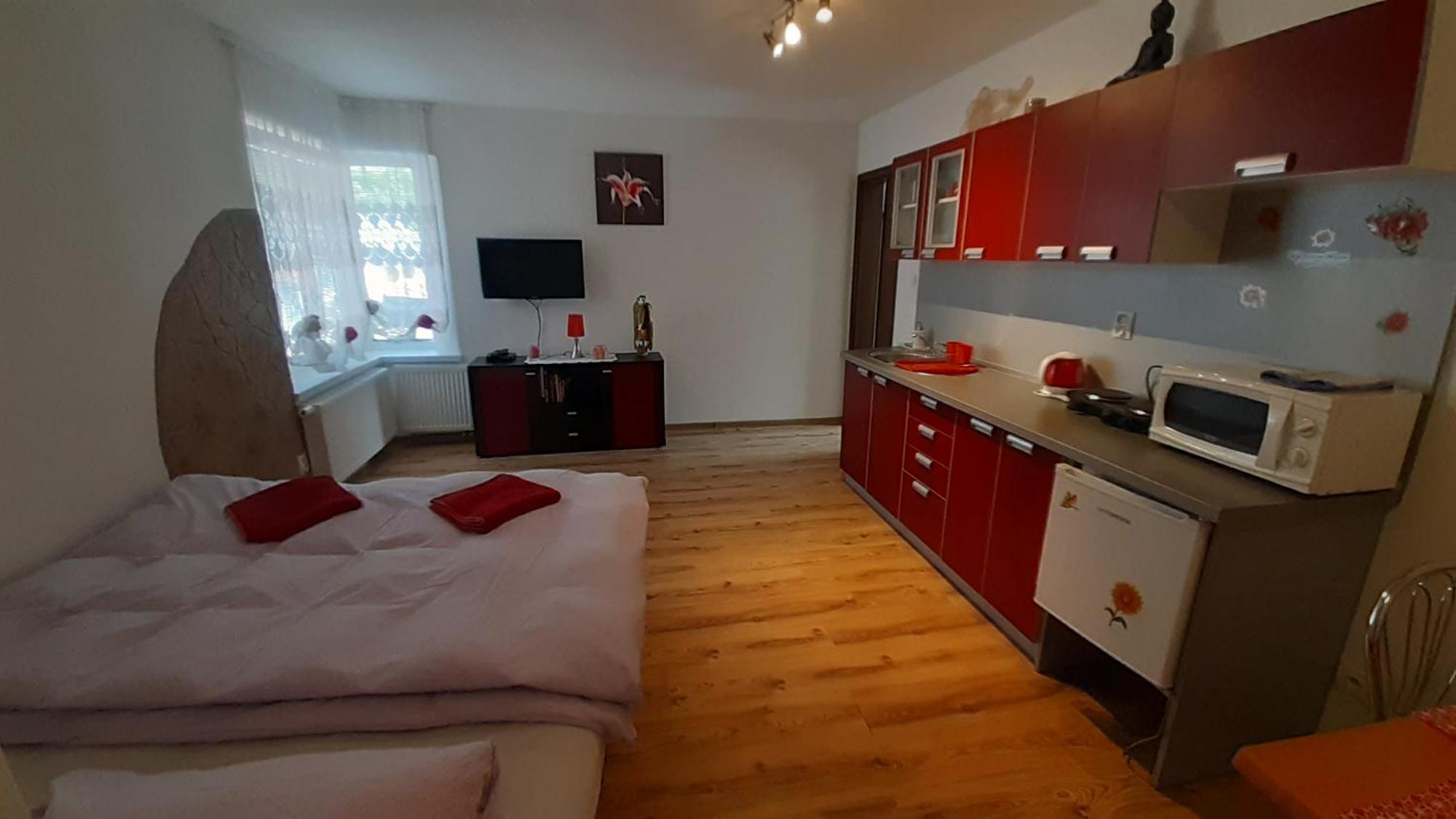 Privat Bene Apartment Vysne Ruzbachy Phòng bức ảnh