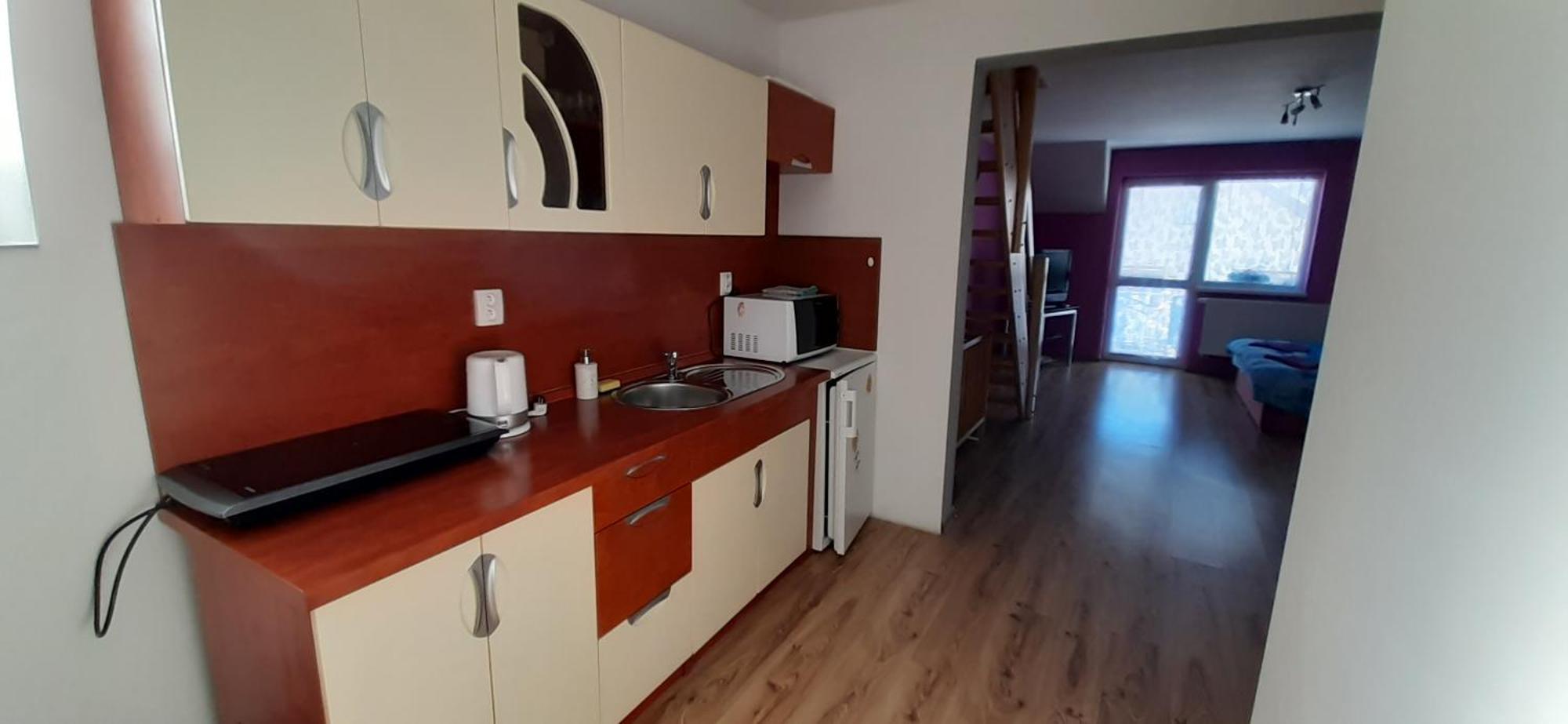 Privat Bene Apartment Vysne Ruzbachy Phòng bức ảnh